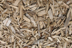 biomass boilers Chipley